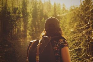 wild mushroom searching